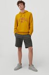 O'Neill Shorts Men