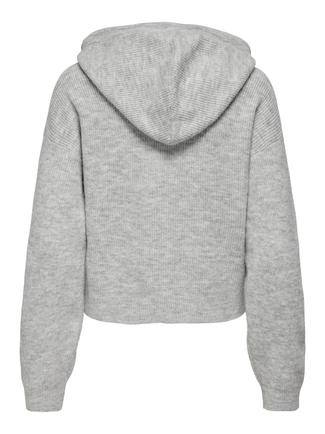 JDYLUMI LIFE L/S HOOD PULLOVER