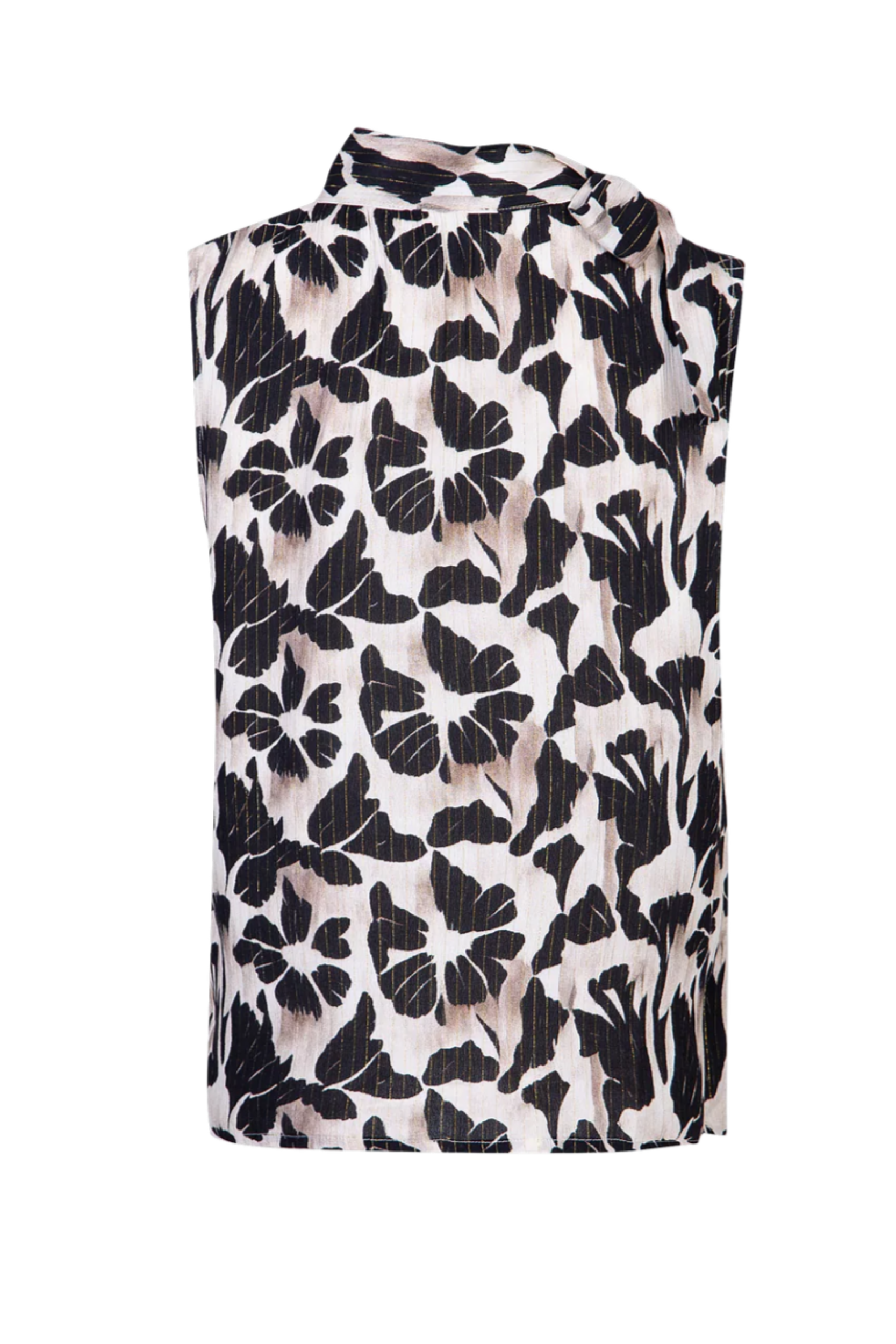 Dyan Top