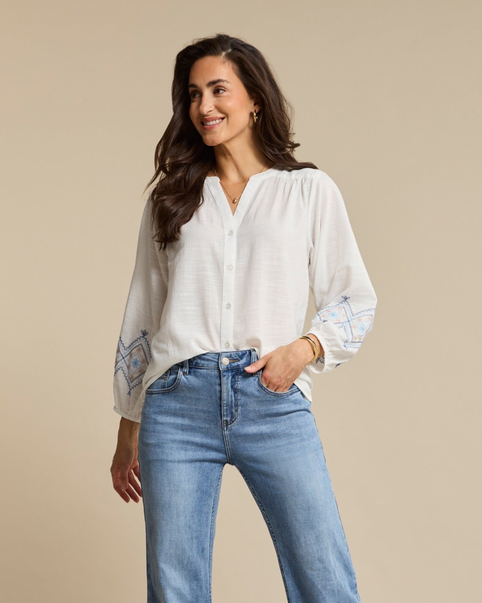 Blouse & Embroidery bluemulti