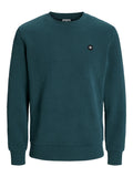 JCOGEO SWEAT CREW NECK