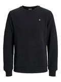 JCOGEO SWEAT CREW NECK