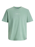JORFOLIE HAZE TEE SS CREW NECK