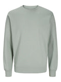 JJESTAR BASIC SWEAT CREW NECK