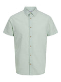 JJESUMMER SHIRT SS