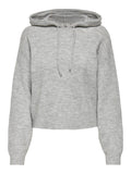 JDYLUMI LIFE L/S HOOD PULLOVER