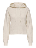 JDYLUMI LIFE L/S HOOD PULLOVER