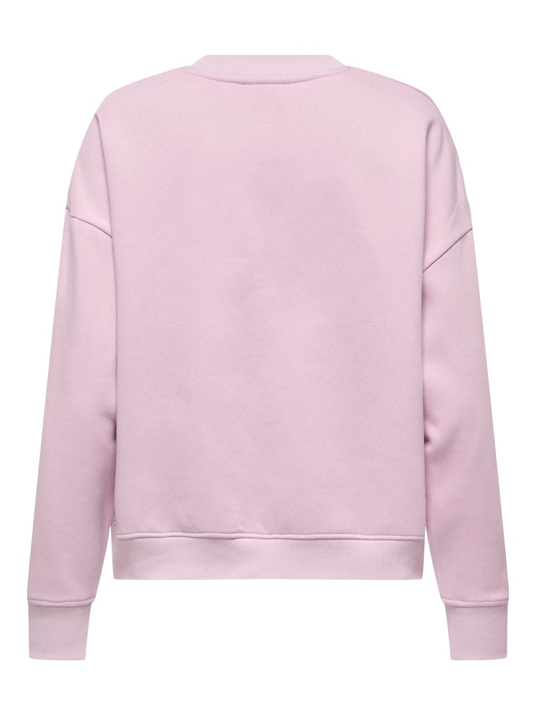 JDYCANOA L/S EMB SWEAT