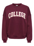 JDYMESA L/S O-NK EMB SWEAT