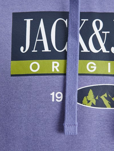 Jack & jones Jorwalter sweat hood