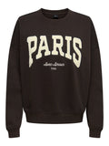 JDYMESA L/S O-NK EMB SWEAT