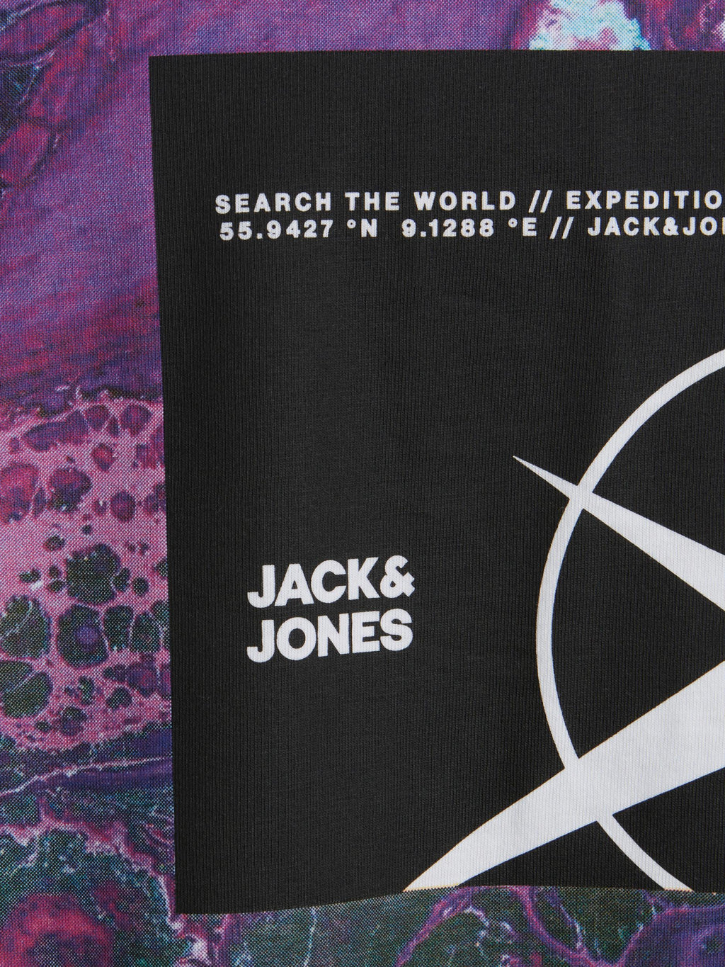 Jack & Jones Jcofilo Tee